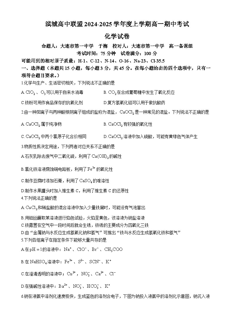 辽宁省大连市滨城联盟2024-2025学年高一上学期11月期中化学试题第1页
