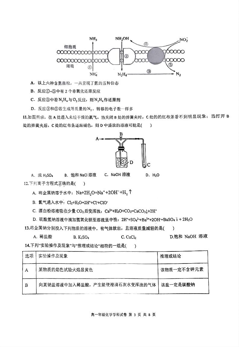 海南省先锋联盟2024-2025学年高一上学期11月期中考试化学试卷（PDF版附答案）第3页