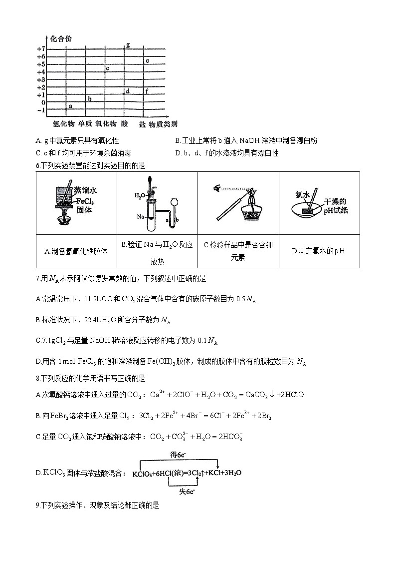 广西南宁市第三中学2024-2025学年高一上学期期中段考 化学试题(无答案)第2页