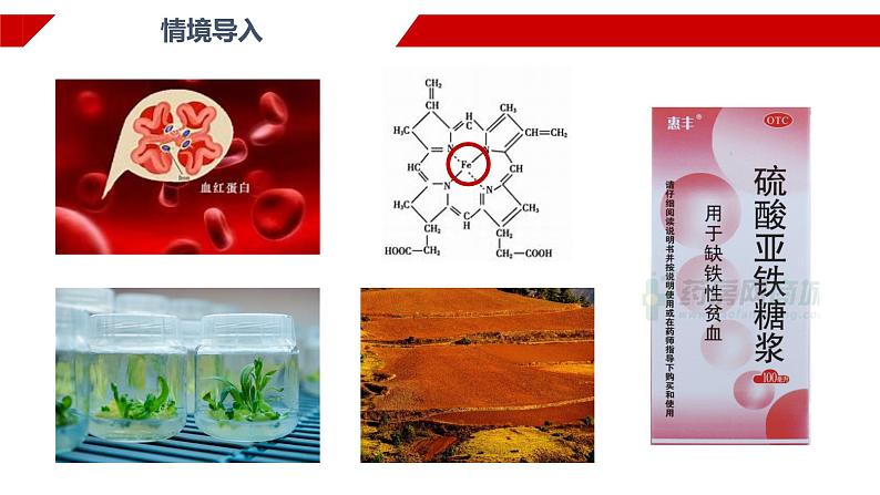 3.1.3 铁盐和亚铁盐 课件 2024-2025学年高一上学期化学人教版（2019）必修第一册第2页