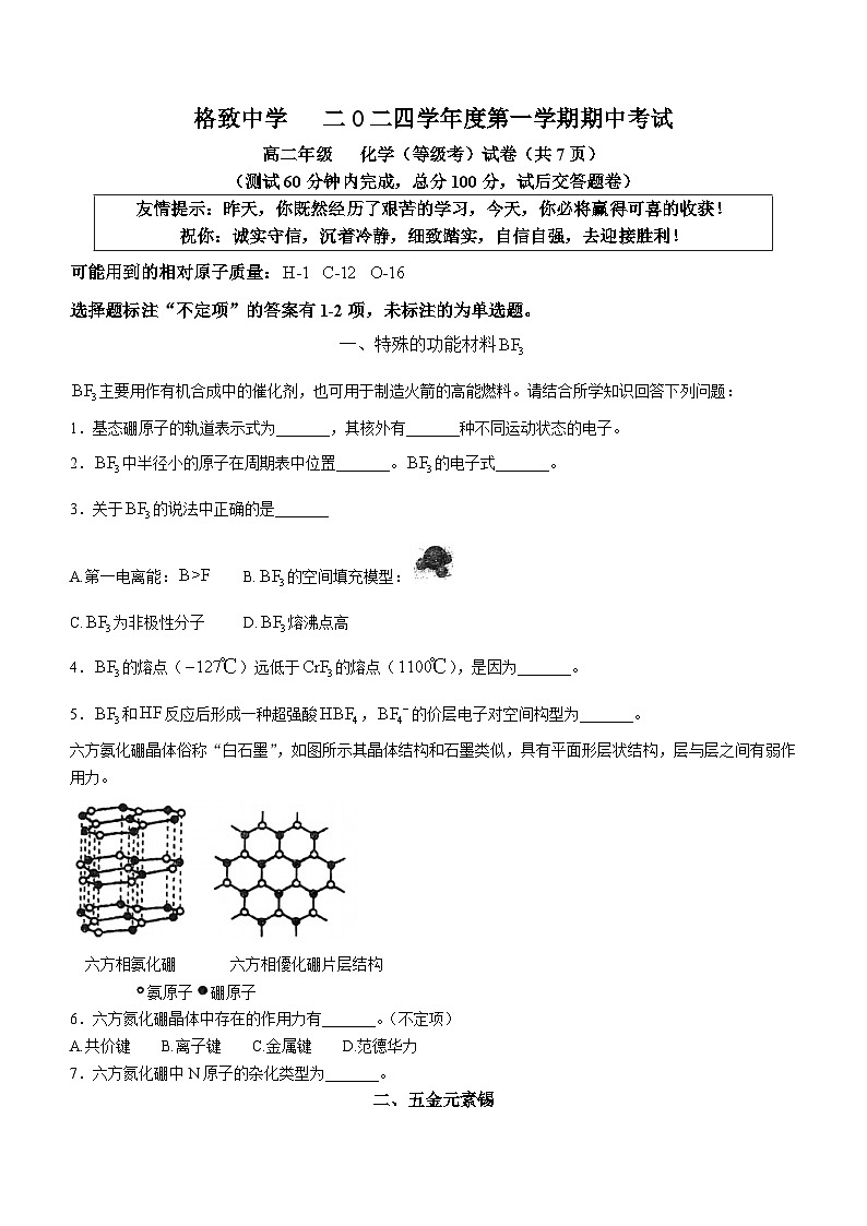上海市格致中学2024-2025学年高二上学期期中考试 化学试卷(无答案)第1页