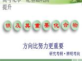 第11讲 铁及其重要化合物 课件 -2025年高考化学一轮复习
