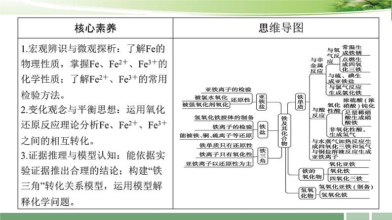 第11讲 铁及其重要化合物 课件 -2025年高考化学一轮复习第3页