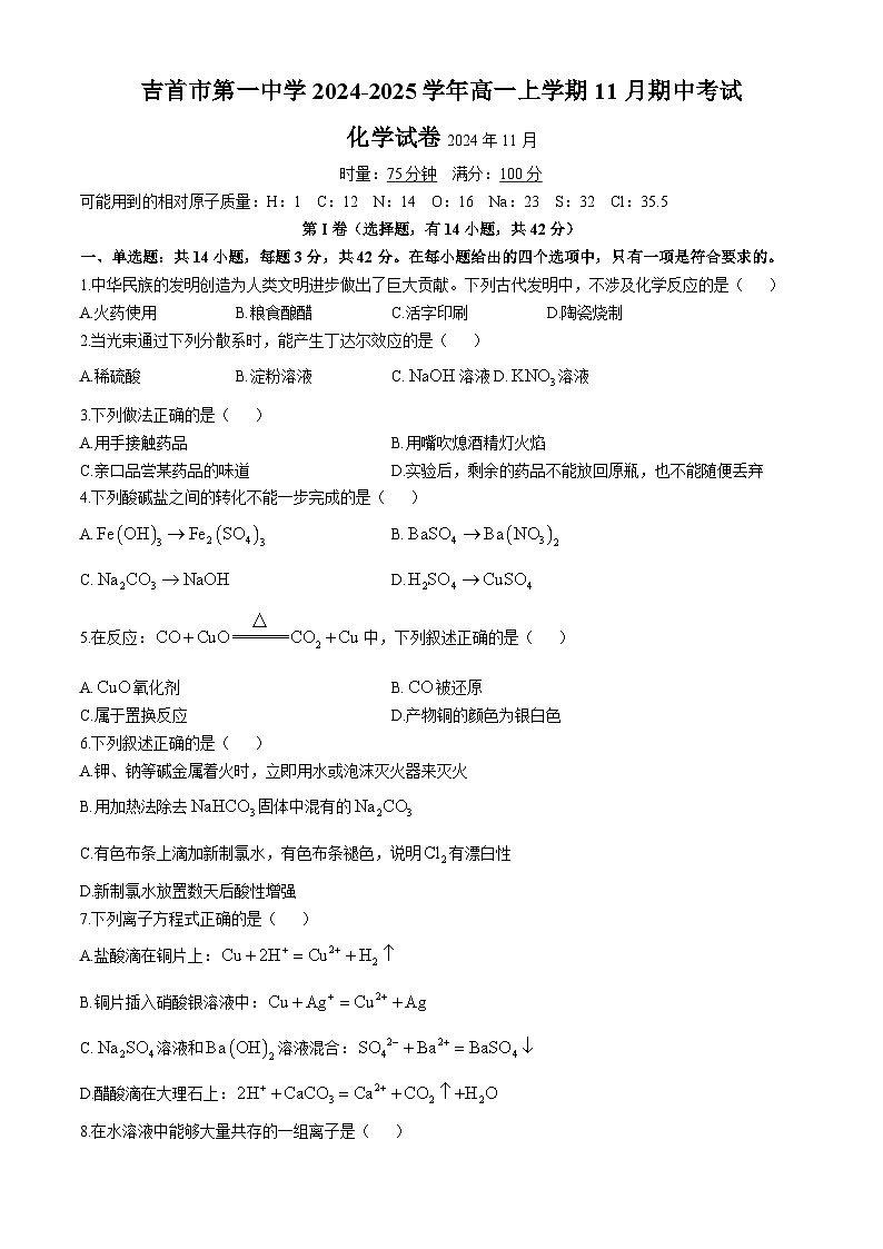 湖南省湘西土家族苗族自治州吉首市第一中学2024-2025学年高一上学期11月期中考试 化学试题第1页