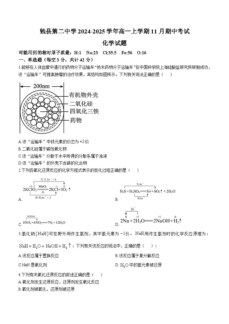 陕西省汉中市勉县第二中学2024-2025学年高一上学期11月期中考试 化学试题01