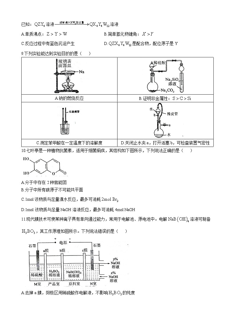 四川省成都市树德中学2024-2025学年高三上学期11月期中考试 化学试题(无答案)03