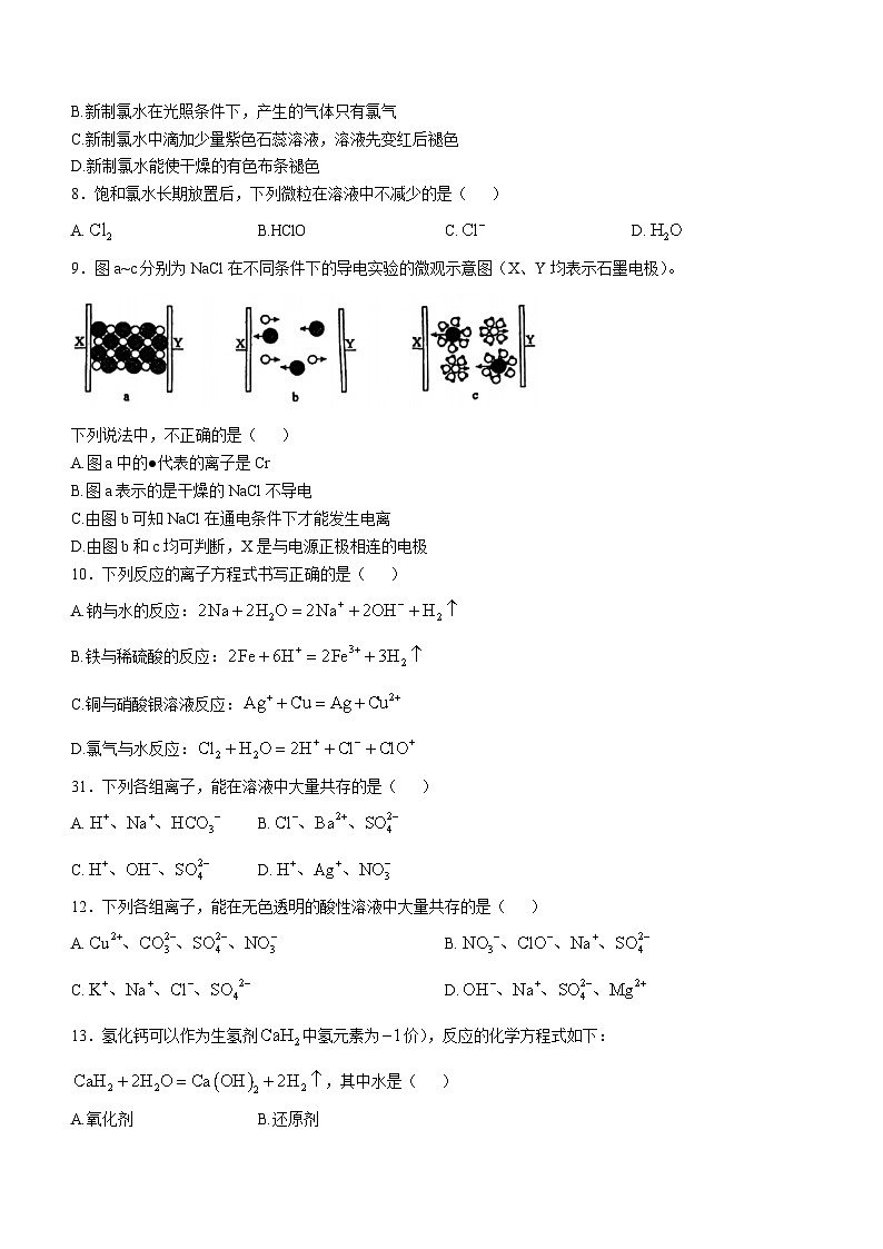 北京市北京市海淀区北京市第十九中学2024-2025学年高一上学期11月期中化学试题(无答案)第2页