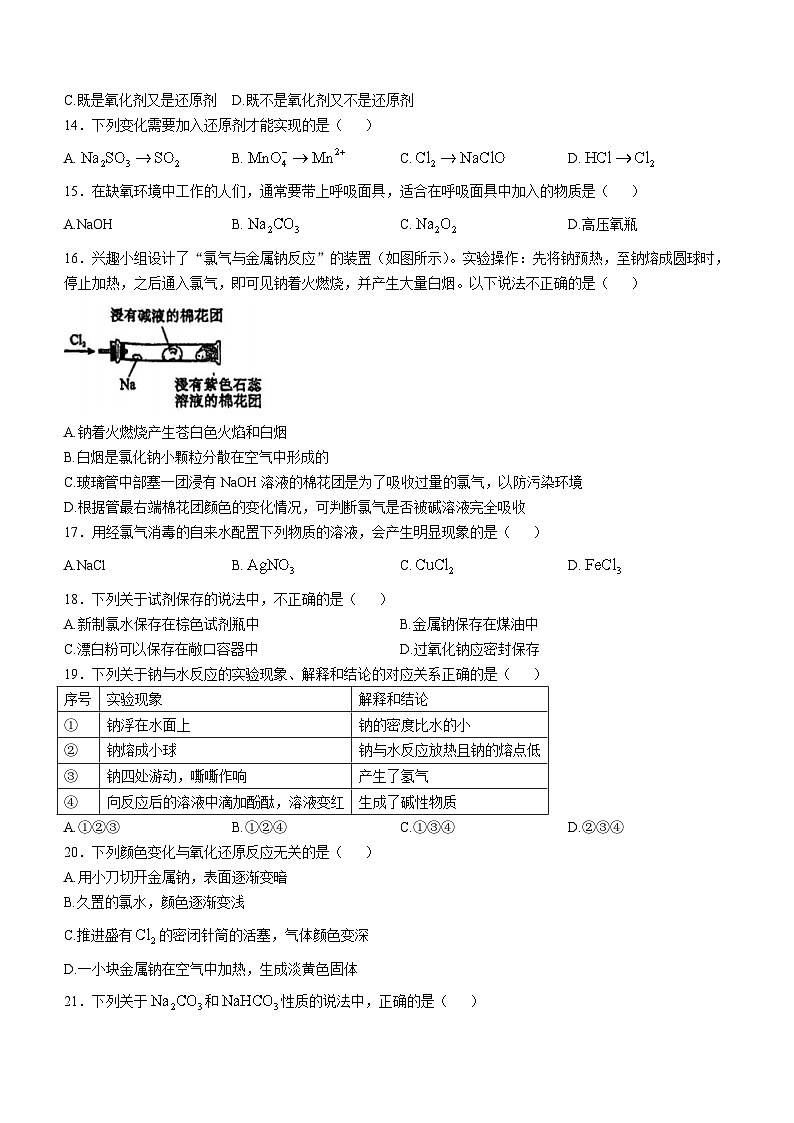 北京市北京市海淀区北京市第十九中学2024-2025学年高一上学期11月期中化学试题(无答案)第3页