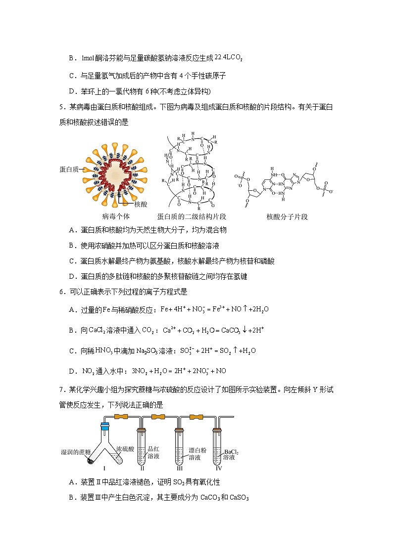 湖南省常德市汉寿县第一中学2024-2025学年高三上学期11月期中考试 化学试题第2页