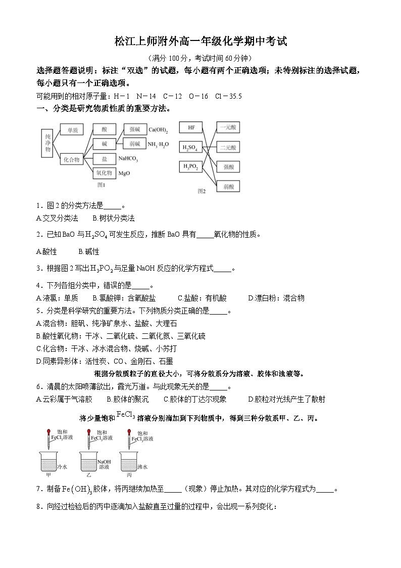 上海师范大学附属外国语中学2024-2025学年高一上期中考试 化学试卷第1页