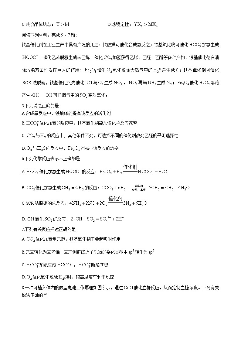 江苏省南通市海安市2024-2025学年高三上学期11月期中考试 化学试题02