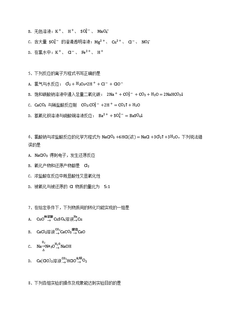 江苏省徐州市第一中学2023~2024学年高一上学期期中考试化学试卷（原卷版）第2页