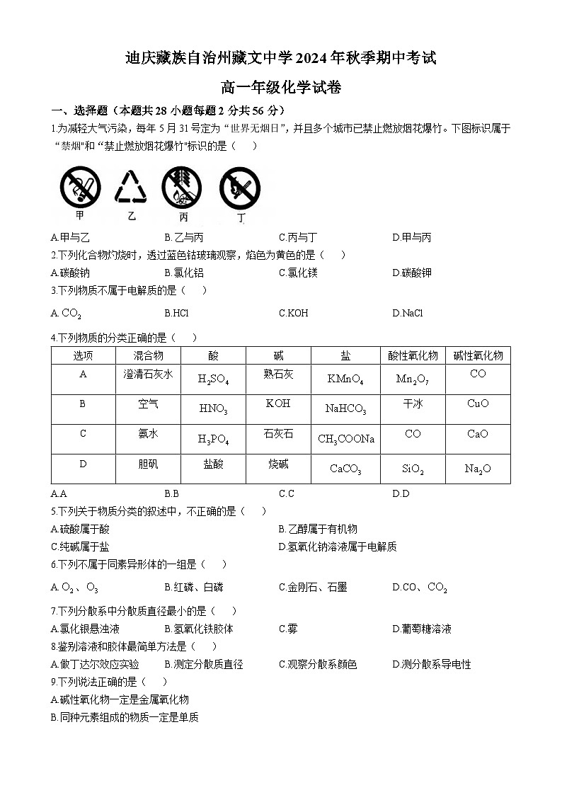 云南省迪庆藏族自治州藏文中学2024-2025学年高一上学期期中考试 化学试题第1页
