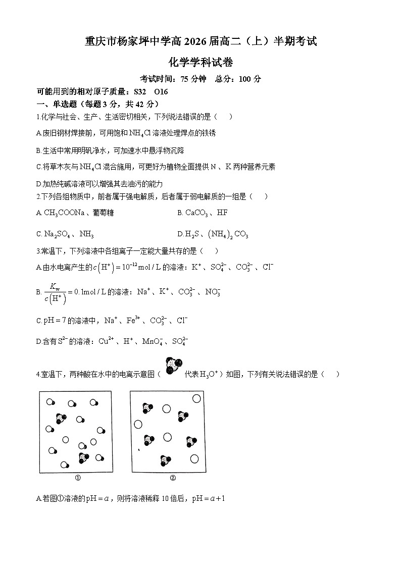 重庆市杨家坪中学2024-2025学年高二上学期中期考试化学学科试卷第1页
