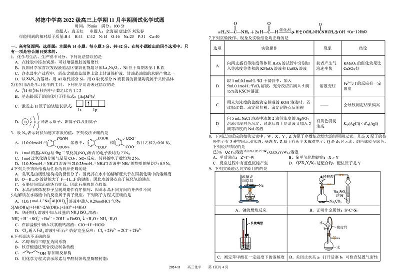 2025届四川省成都市树德中学高三上学期11月期中考-化学试题+答案第1页