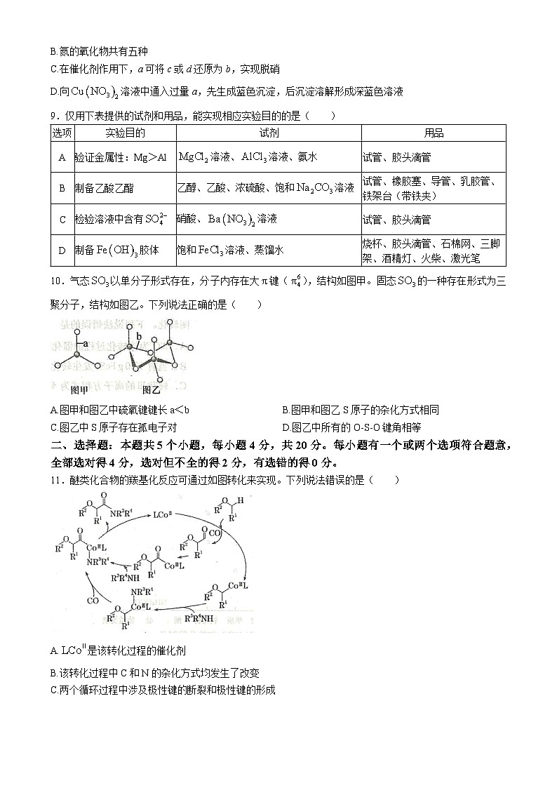 山东省青岛市黄岛区2024-2025学年高三上学期11月期中考试 化学试题第3页