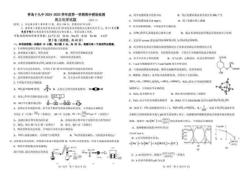 山东省青岛第十九中学2024-2025学年高三上学期期中考试+化学试题第1页