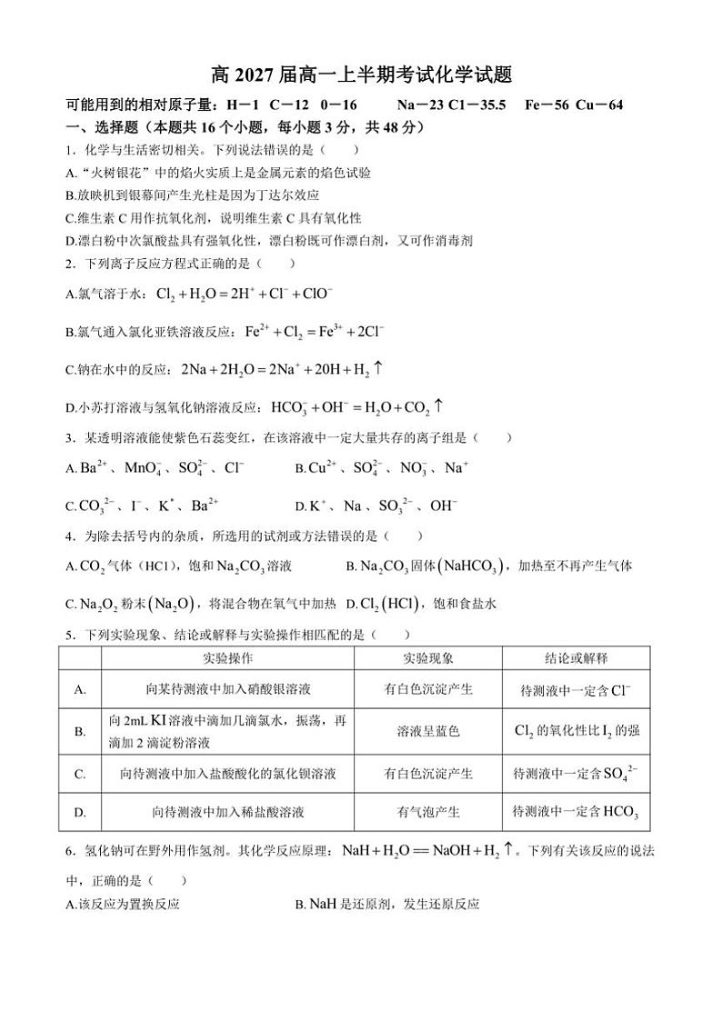 四川省广安市华蓥市华蓥中学2024～2025学年高一(上)期中化学试卷(含答案)第1页