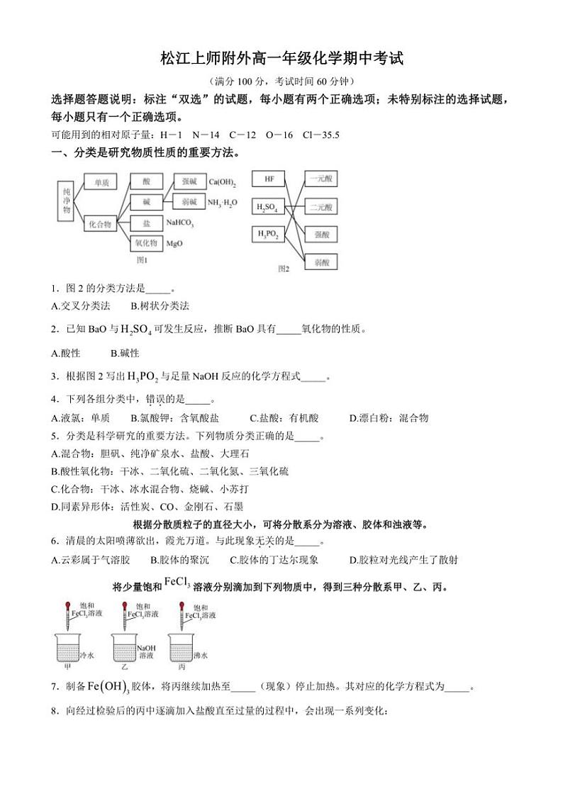 上海师范大学附属外国语中学2024～2025学年高一上期中化学试卷(含答案)第1页