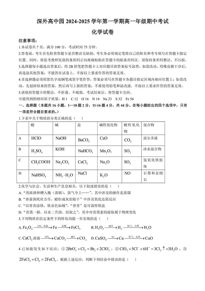 广东省深圳外国语学校高中园2024～2025学年高一(上)期中化学试卷(含答案)第1页