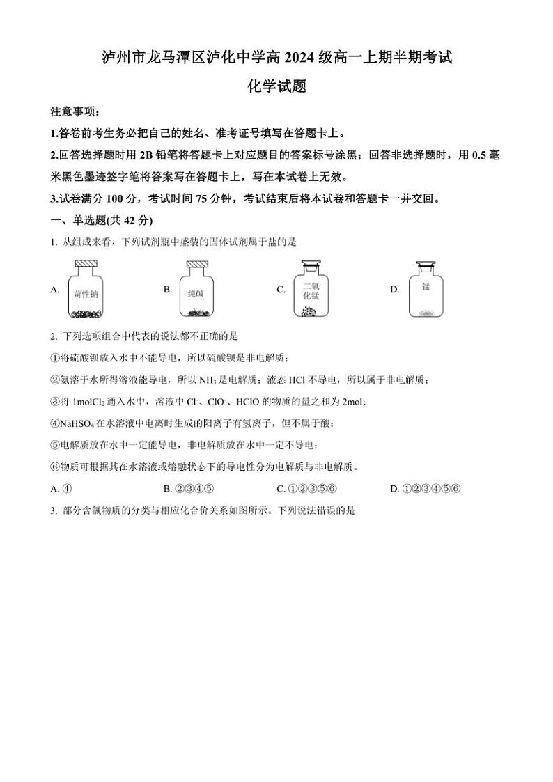 四川省泸州市泸化中学2024～2025学年高一(上)期中化学试卷(含答案)第1页