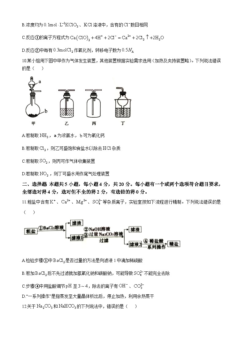 2025泰安高三上学期11月期中考试化学试题含答案第3页