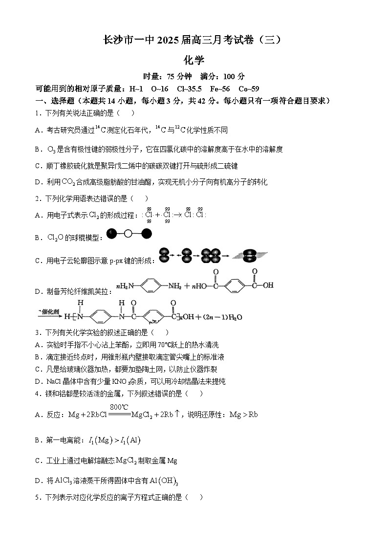 湖南省长沙市第一中学2024-2025学年高三上学期11月月考化学试卷（Word版附答案）第1页