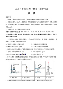 湖南省永州市第四中学2024-2025学年高三上学期期中考试 化学试题