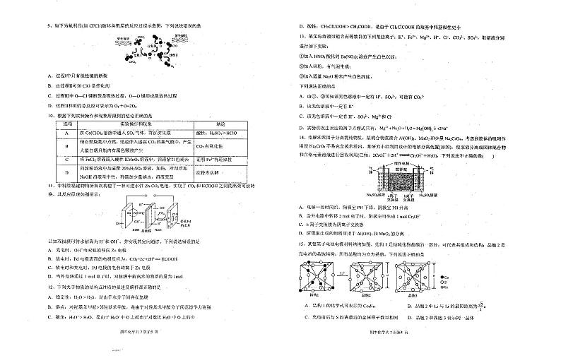 2025届辽宁省实验中学高三上学期11月期中考-化学试题+答案第2页