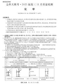 2025届河南省金科新未来大联考高三上学期11月考-化学试题+答案