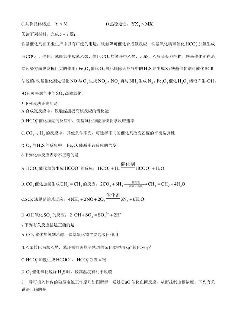 江苏省南通市海安市2024～2025学年高三(上)期中化学试卷(含答案)第2页