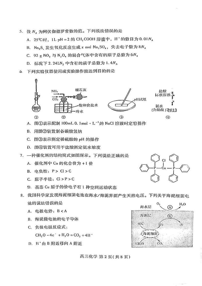 山东省潍坊市2024-2025学年高三上学期期中考试化学试题第2页