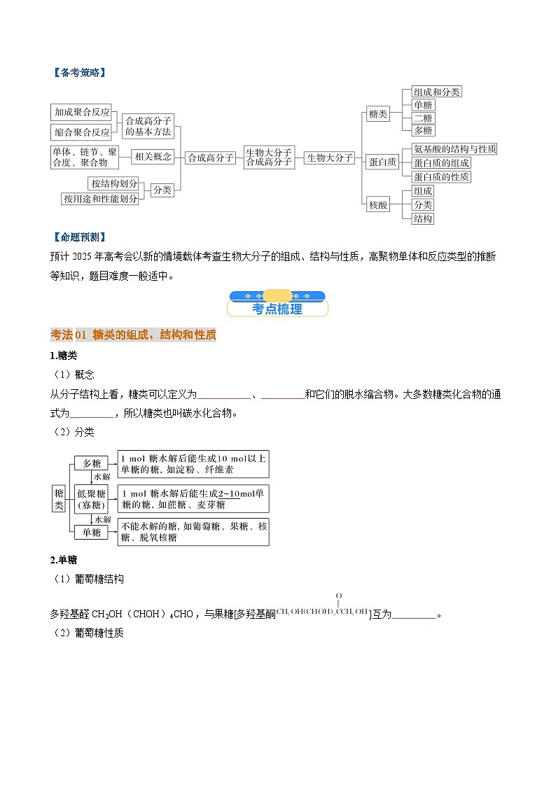 考点37 生物大分子、合成高分子（核心考点精讲精练）-2025年高考化学一轮复习讲练专题（新高考通用）（原卷版）第2页