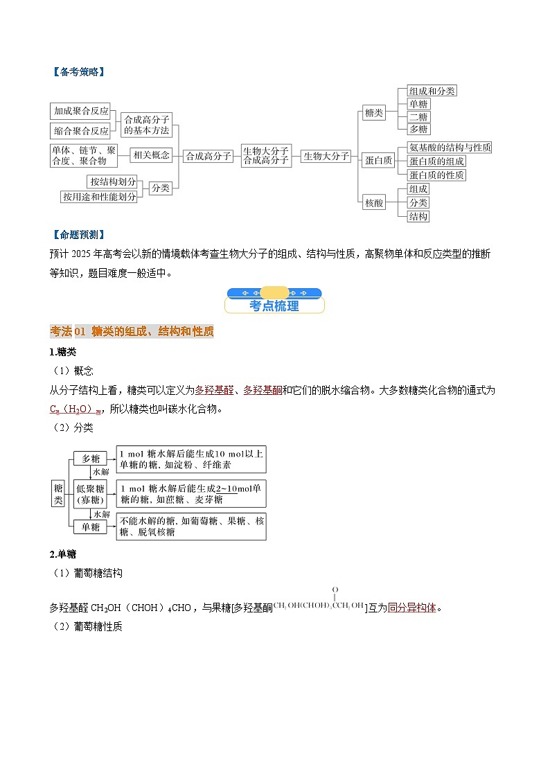 考点37 生物大分子、合成高分子（核心考点精讲精练）-2025年高考化学一轮复习讲练专题（新高考通用）（解析版）第2页
