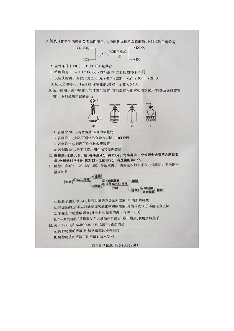 2025泰安高三上学期11月期中化学试题PDF版无答案第3页