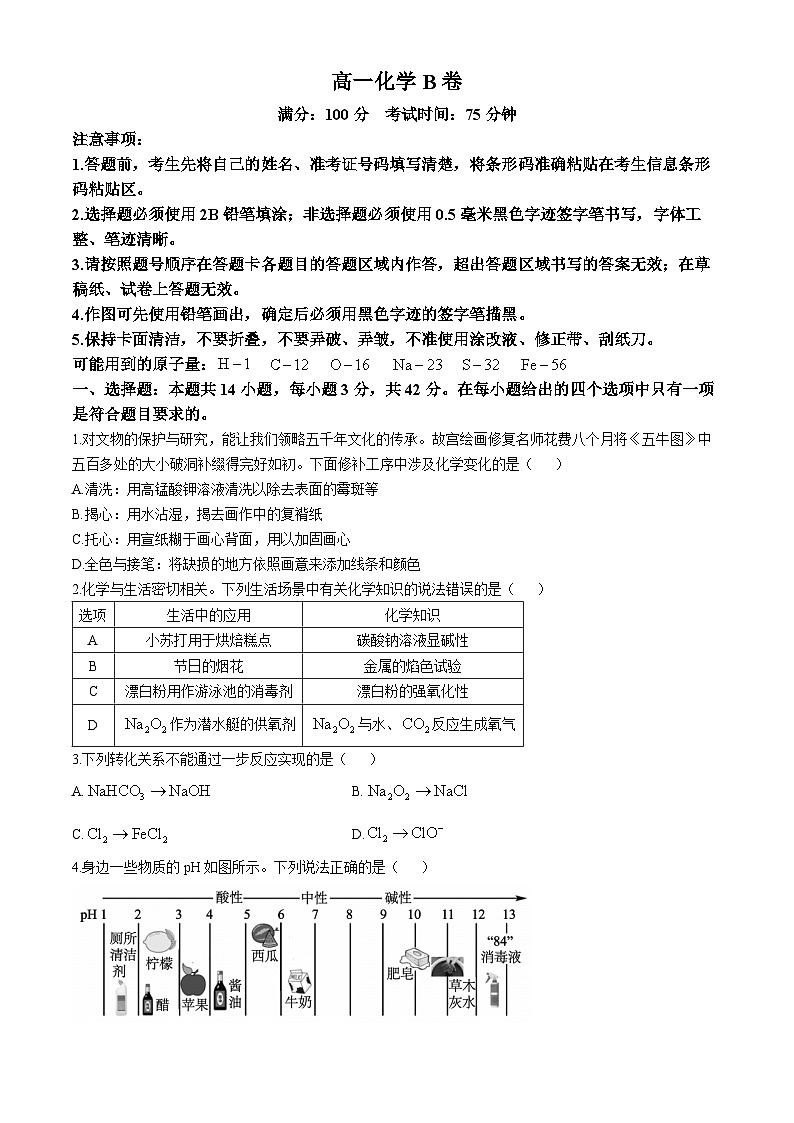 2025安徽省鼎尖教育高一上学期11月期中考试化学（B卷）无答案第1页