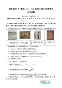 广东省深圳市高级中学2024-2025学年高三上学期第二次诊断考试 化学试题