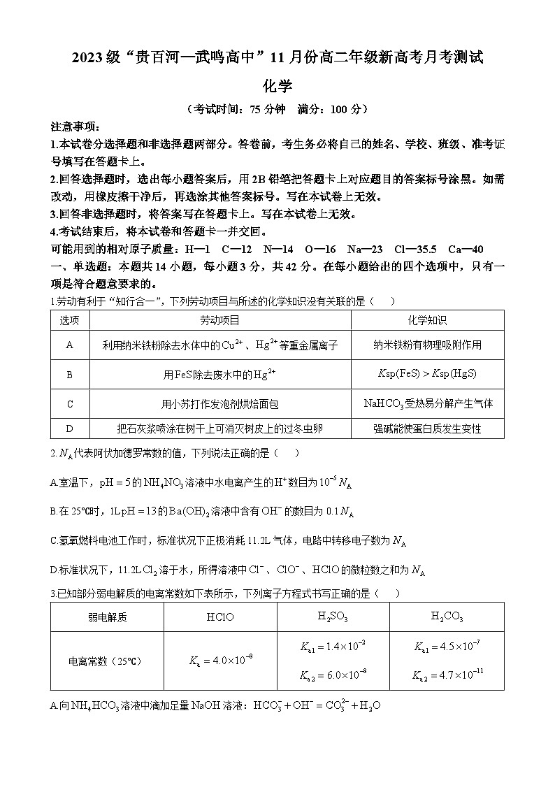 广西“贵百河—武鸣高中”2024-2025学年高二上学期11月新高考月考化学试题第1页