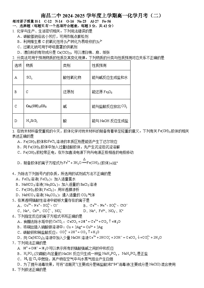江西省南昌市第二中学2024-2025学年高一上学期期中考试化学试题第1页