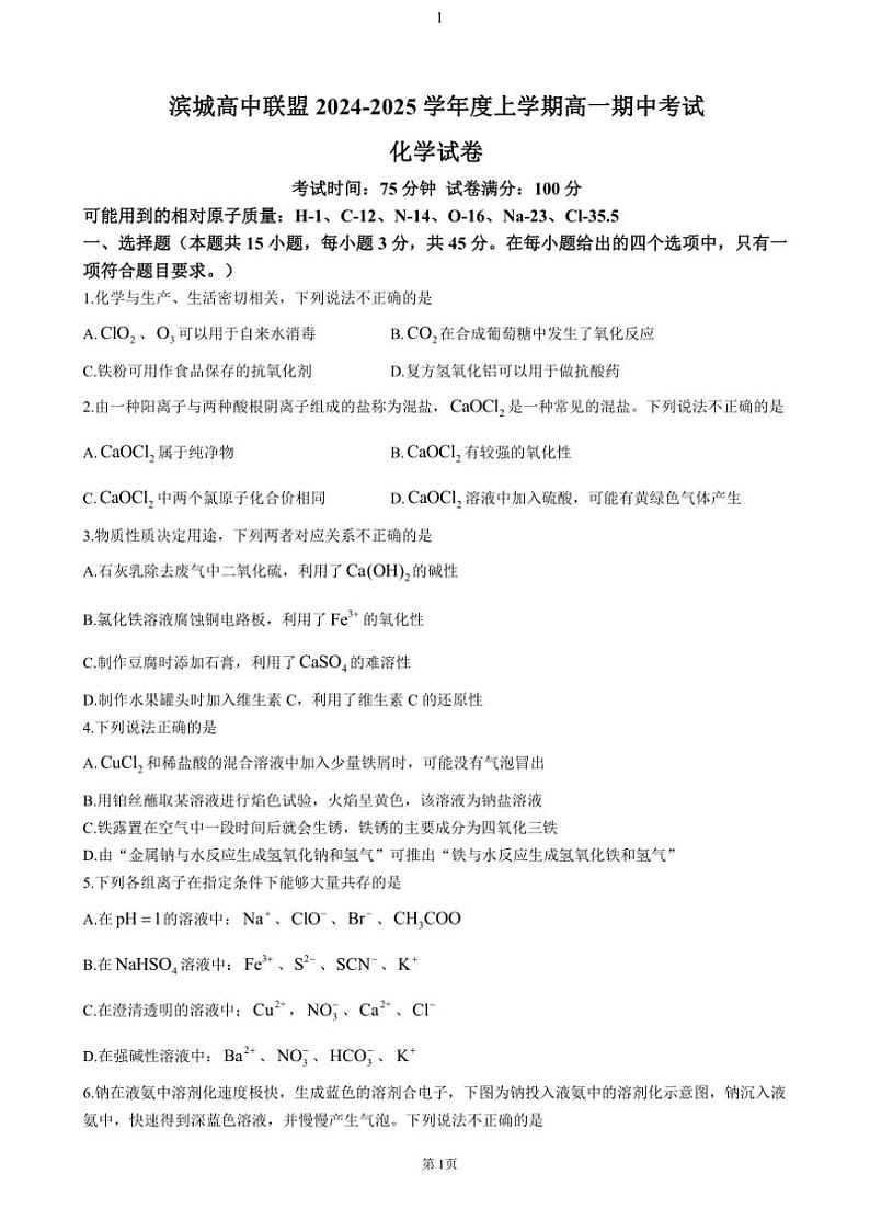 辽宁省大连市滨城高中联盟2024～2025学年高一(上)期中化学试卷(含答案)第1页
