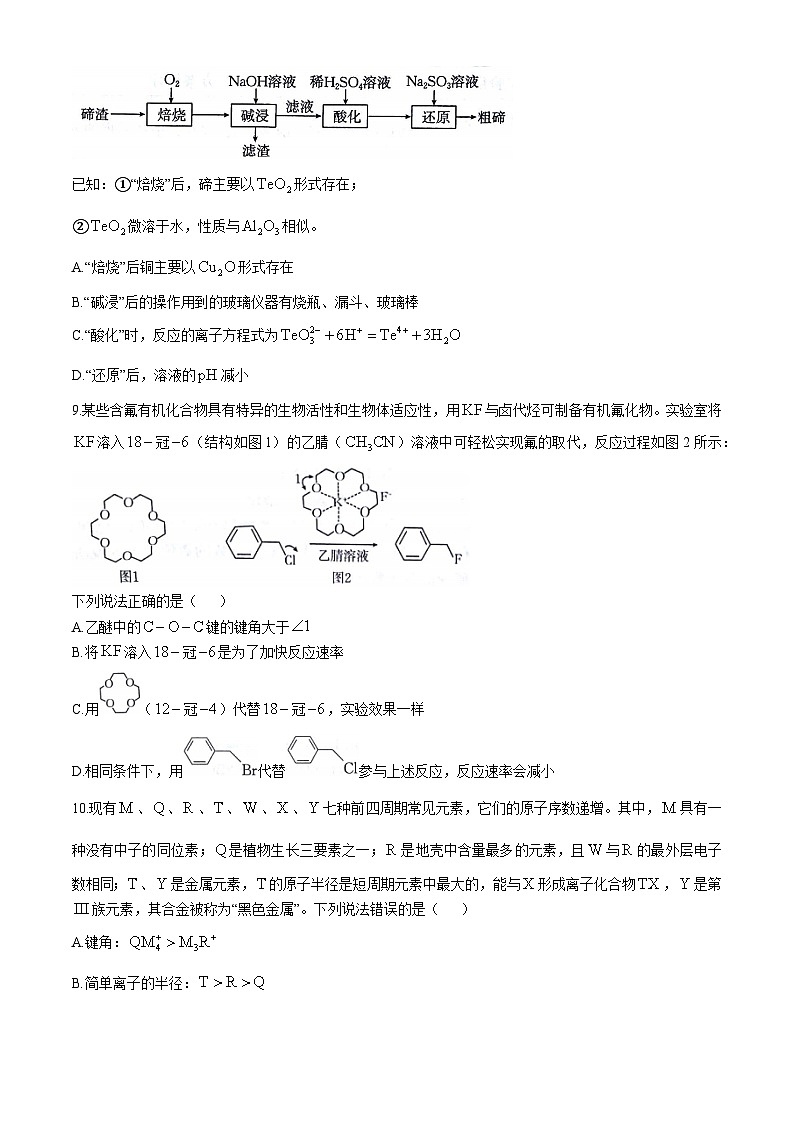 甘肃省白银市靖远县第一中学2024-2025学年高三上学期11月月考 化学试题第3页