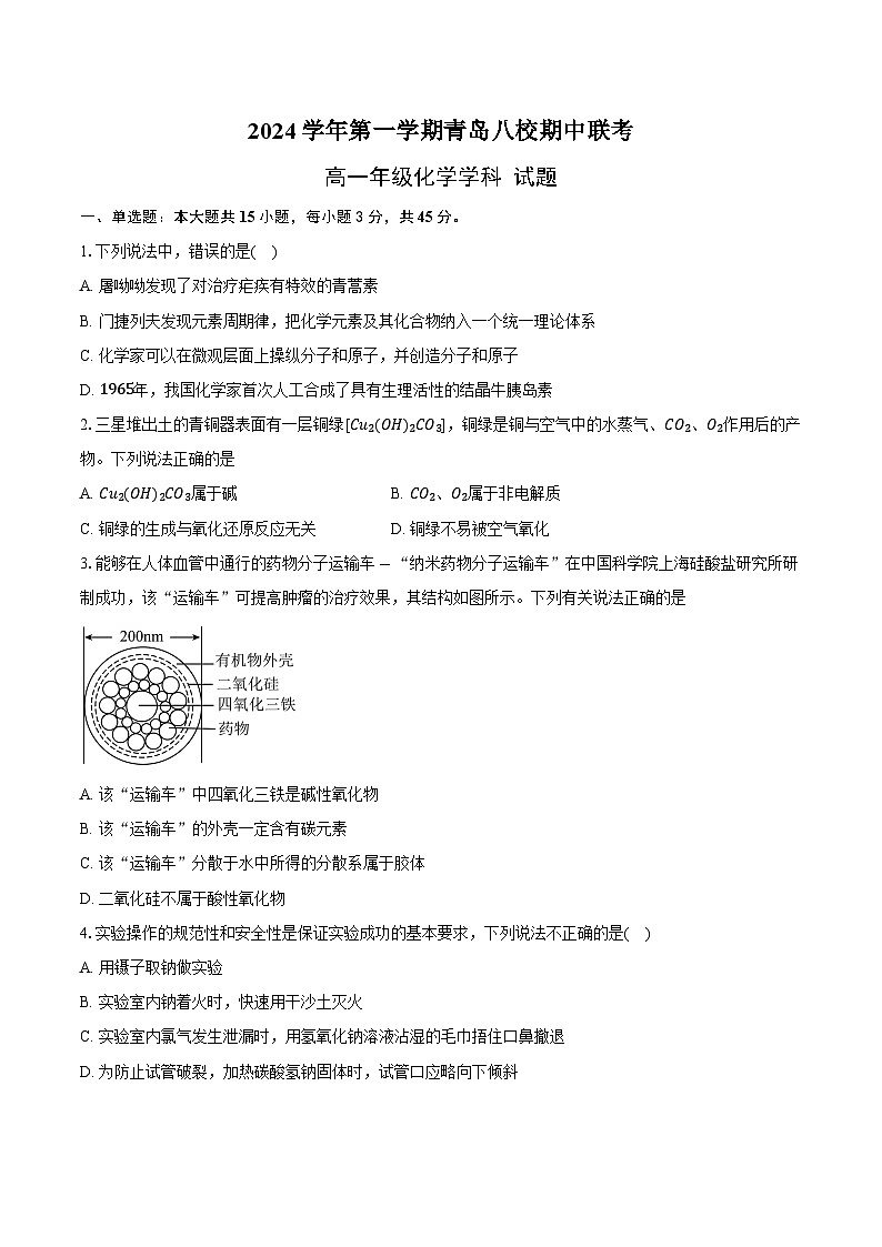 山东省青岛市八校2024-2025学年高一上学期期中联考 化学试题第1页