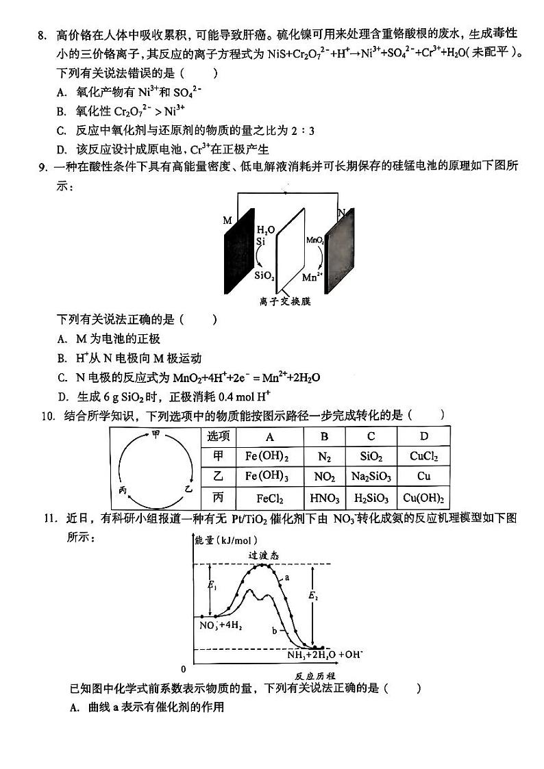 2025届A10联盟高三上学期11月 化学试题及答案第3页