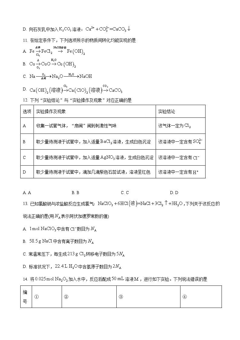 河南省九师联考2024-2025学年高一上学期11月期中考试 化学第3页