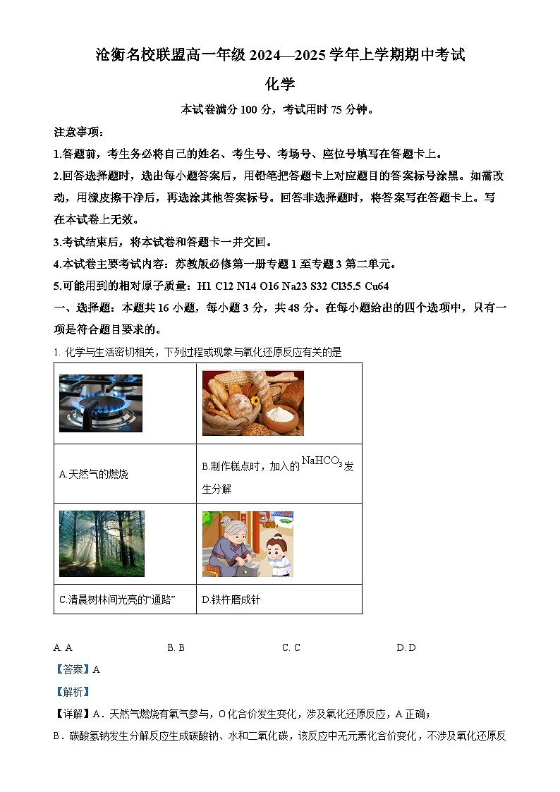 河北省沧州市名校联盟2024-2025学年高一上学期11月期中考试 化学试题（解析版）-A4第1页