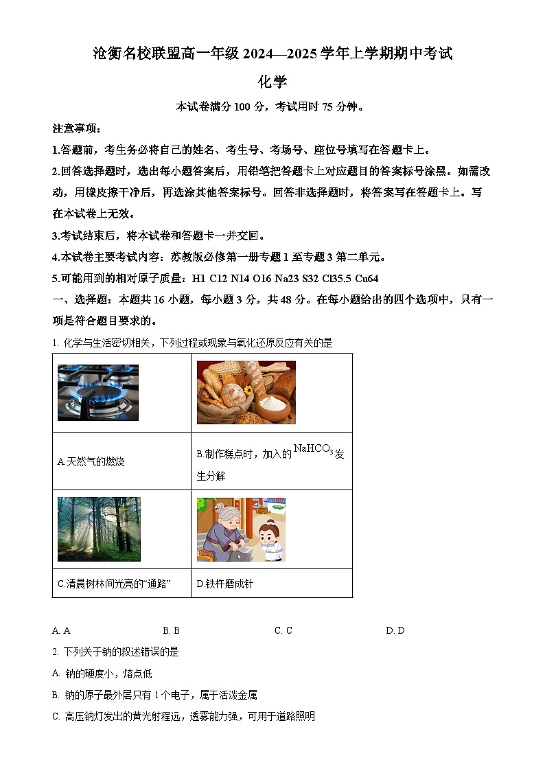河北省沧州市名校联盟2024-2025学年高一上学期11月期中考试 化学试题（原卷版）-A4第1页
