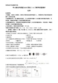 湖北省武汉市华大新高考联盟2024-2025学年高三上学期11月教学质量评测 化学试卷-A4