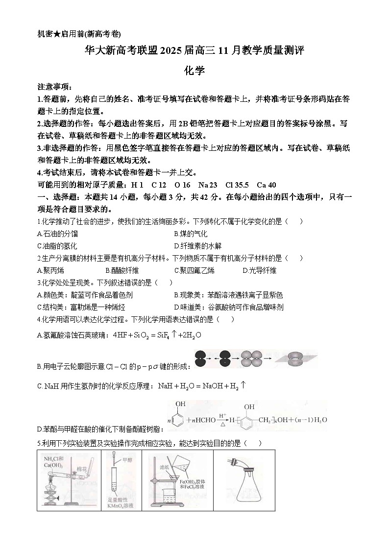 湖北省武汉市华大新高考联盟2024-2025学年高三上学期11月教学质量评测 化学试卷-A4第1页