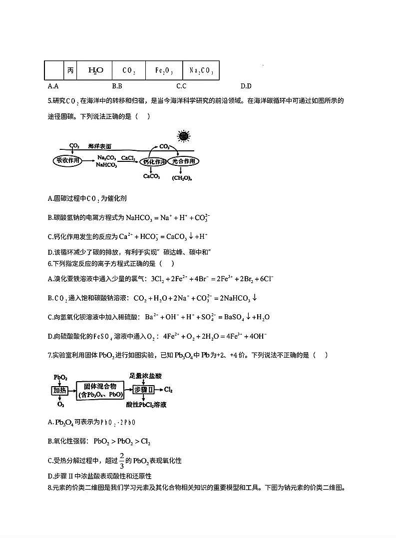 安徽省合肥八中2024-2025学年第一学期高一年级期中检测化学试题（含答案）第2页