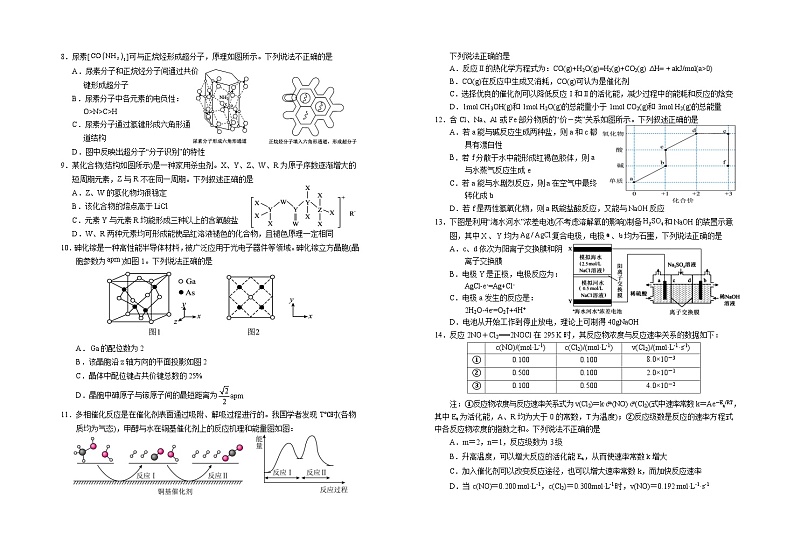 2025届高三第四次月考化学试卷第2页